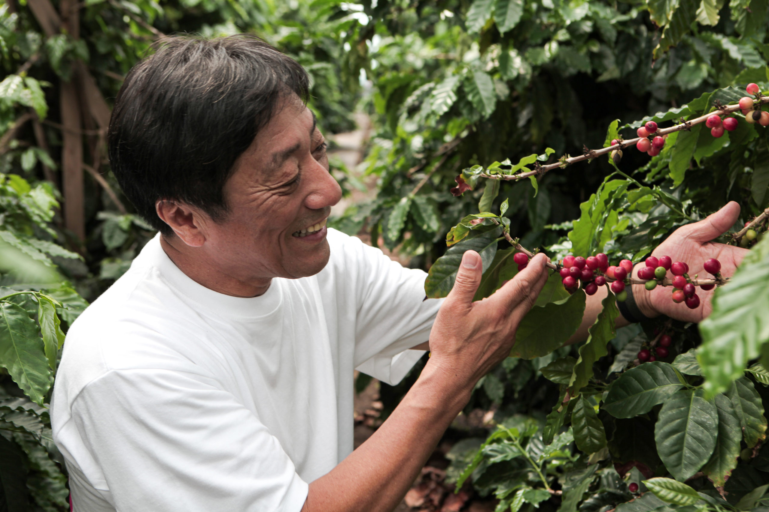 珈琲を手に取る佐藤良一社長